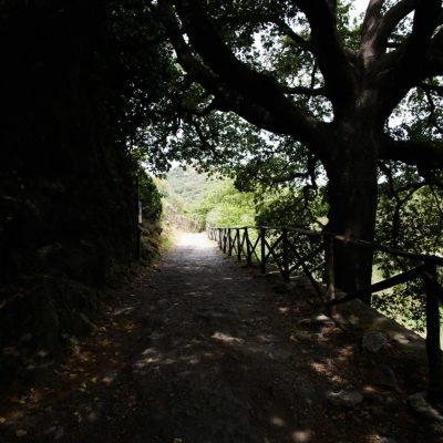 11. Alcantara river park